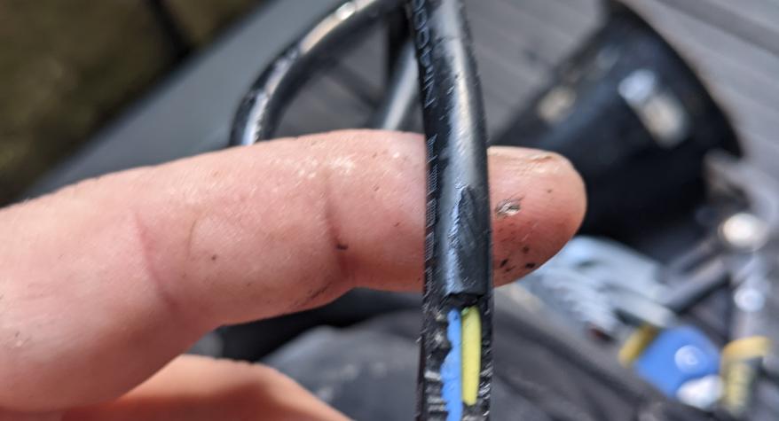 Electrical fault finding has identified a number of decking lights that have rodent damage