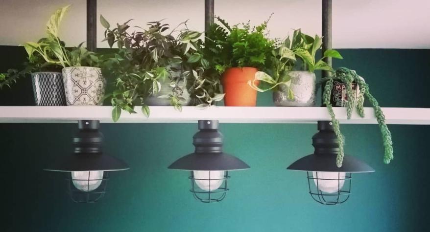 New dining room light